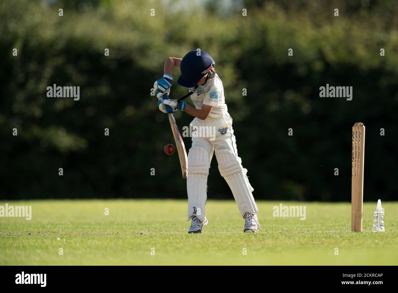 Young boy playing cricket shot during village cricket match for all ages. Stock Photo