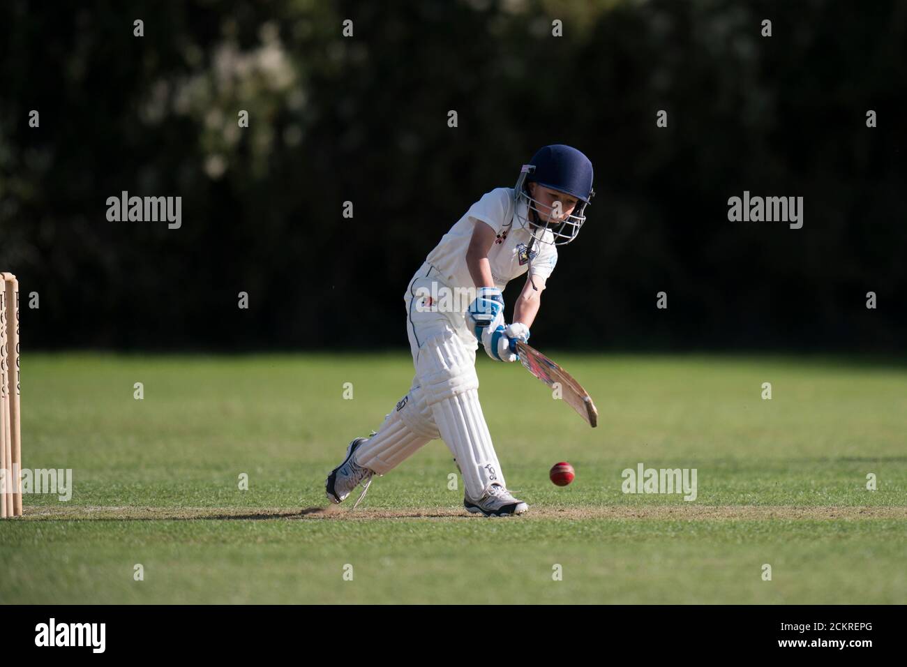 Former cricket player Ali Kabir holding the number 33 shirt when he signed  for Hampshire during the 2010- 12 season Stock Photo - Alamy