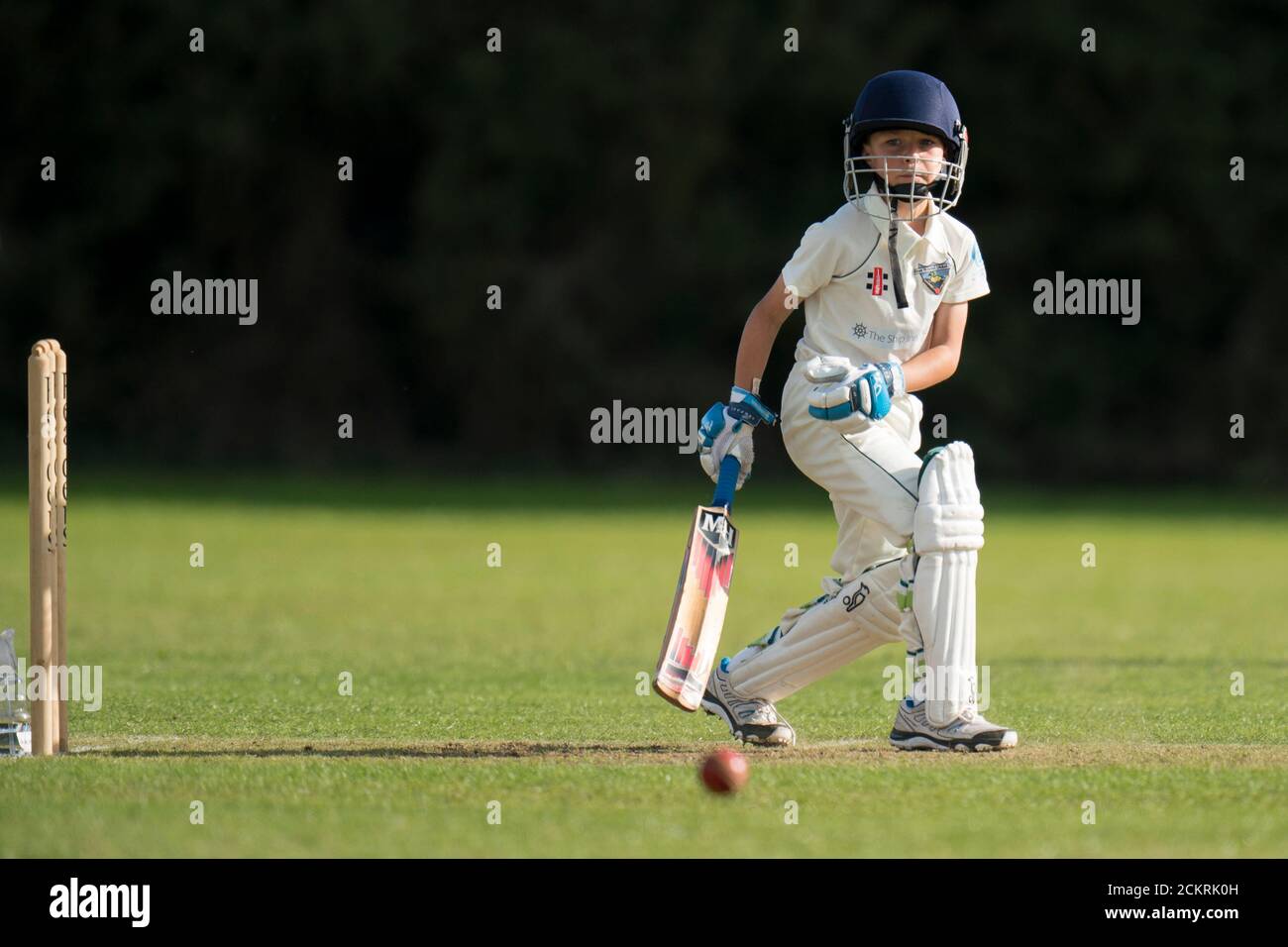 Young boy playing cricket shot during village cricket match for all ages  Stock Photo - Alamy