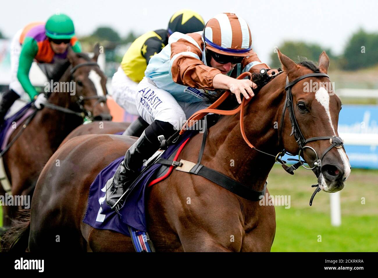 Caspian Prince ridden by jockey Tom Marquand on their way to winning the Free Tips Daily On attheraces.com Handicap at Great Yarmouth Racecourse. Stock Photo