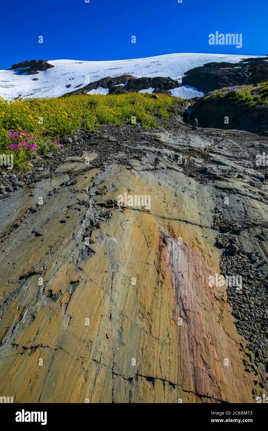 Glacial grooves hires stock photography and images Alamy