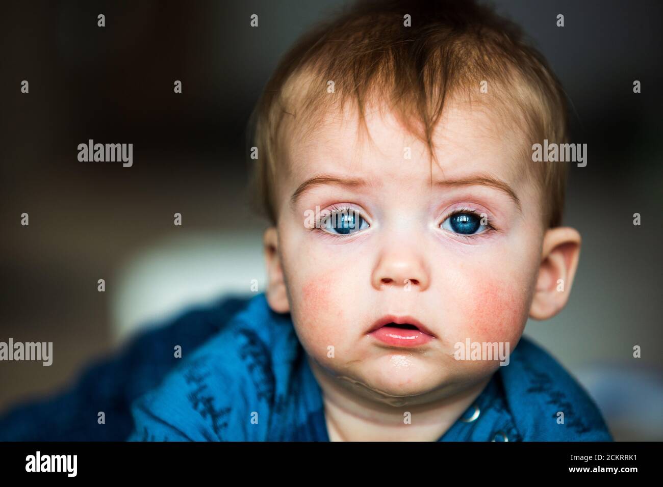 Close-up of 6-8 month old baby boy looking straight ahead with a sincere expression Stock Photo