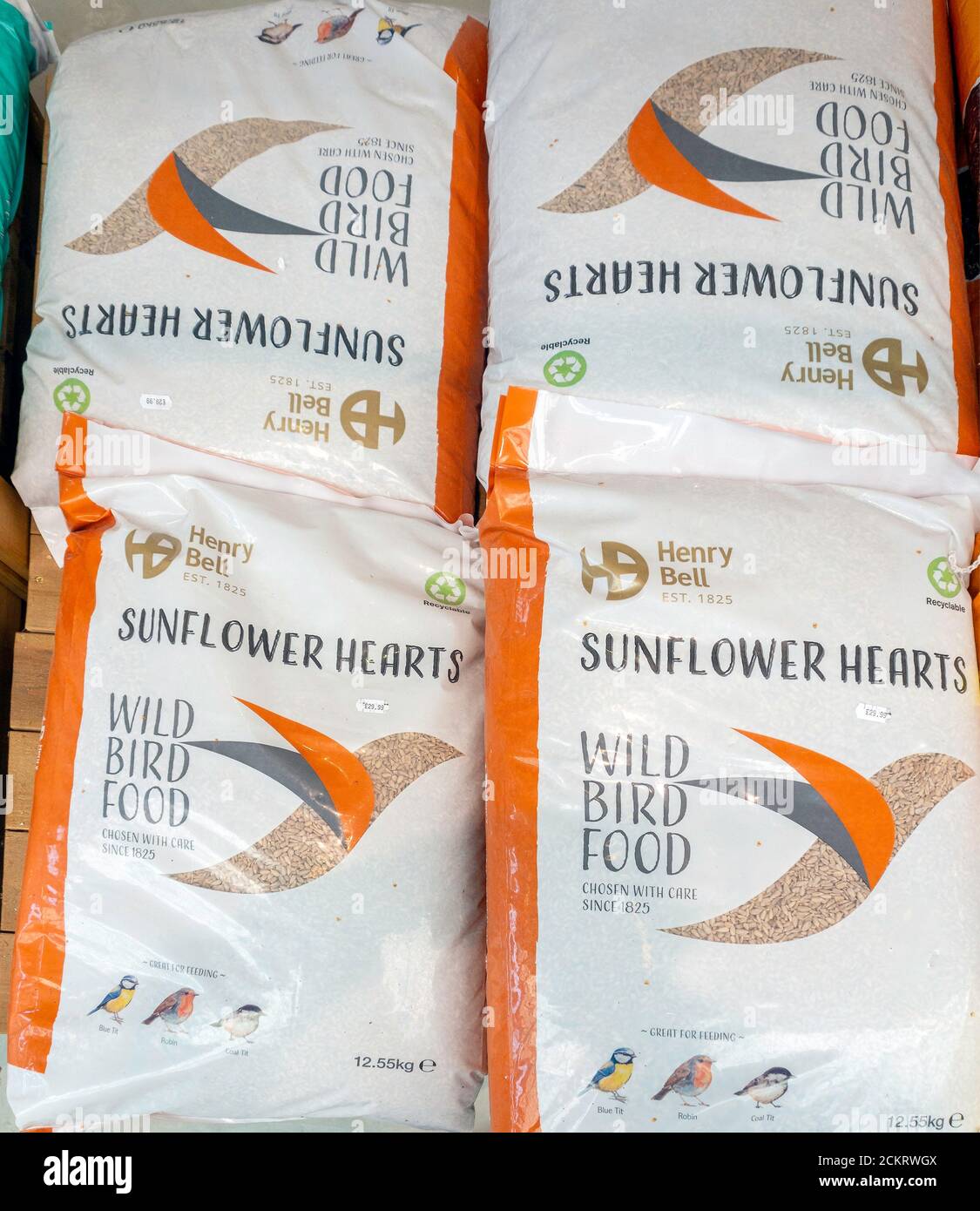 Henry Bell No Mess Bird Food Discount Supplier