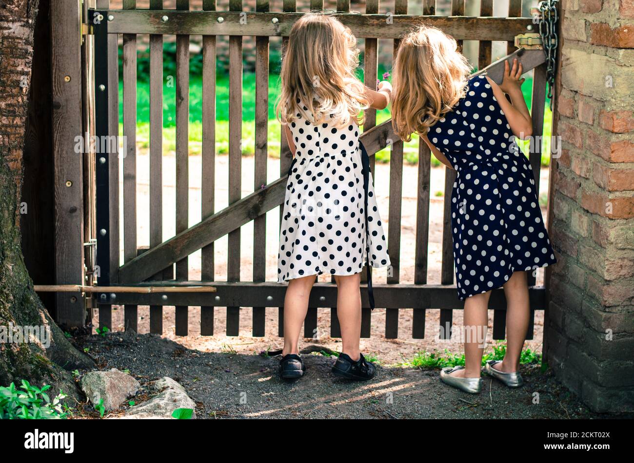 two curious blond girls in dotted dresses standing at fence and peeking over fance back view Stock Photo