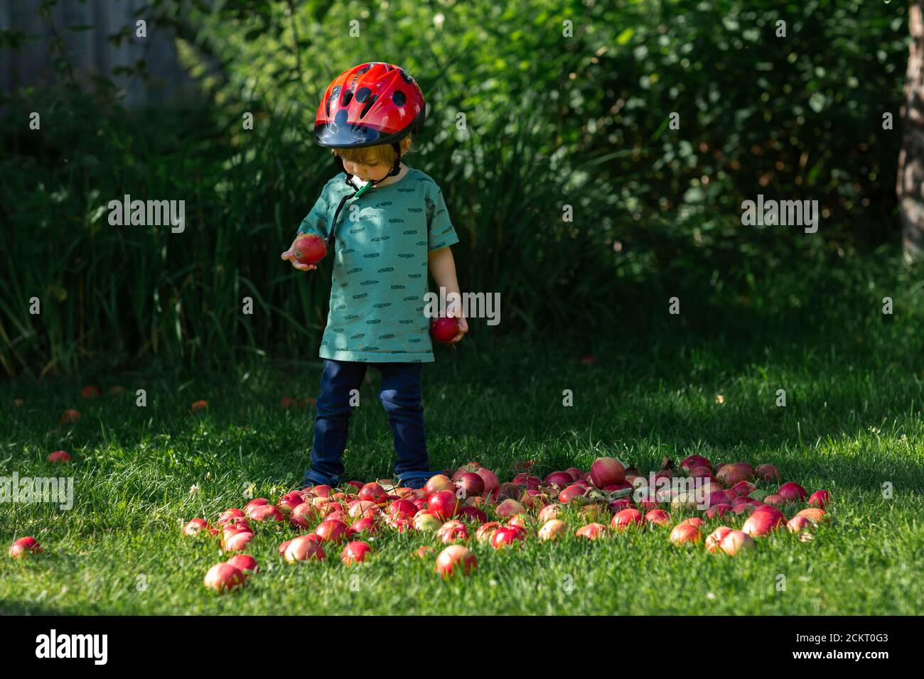 young boy and a pile of red apples Stock Photo - Alamy