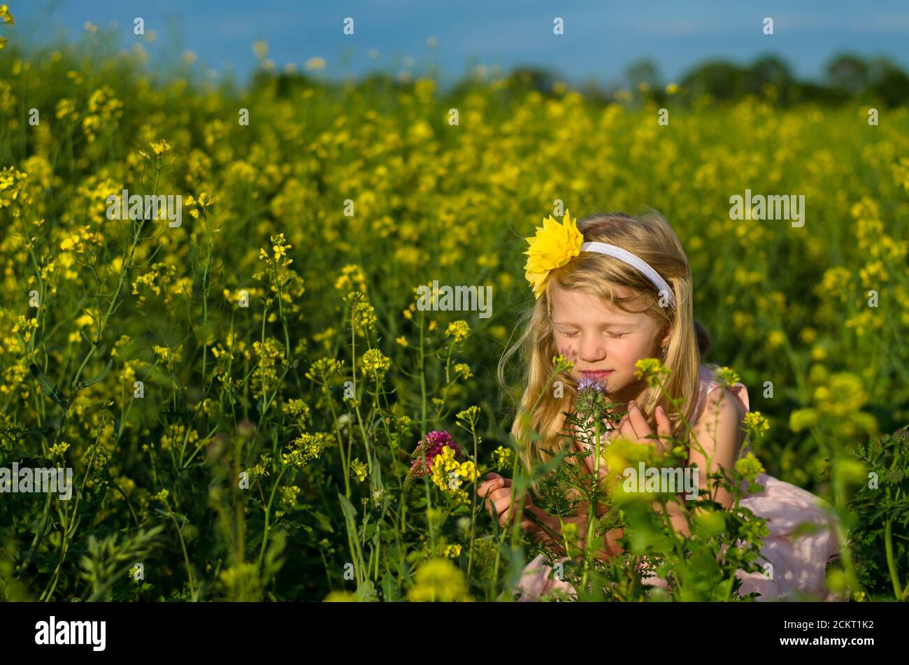 portrait of beautiful blond girl in rapeseed field Stock Photo - Alamy