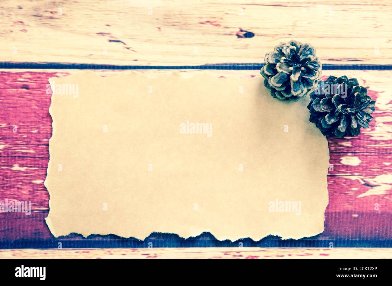 blank sheet with pine cone decoration Stock Photo - Alamy
