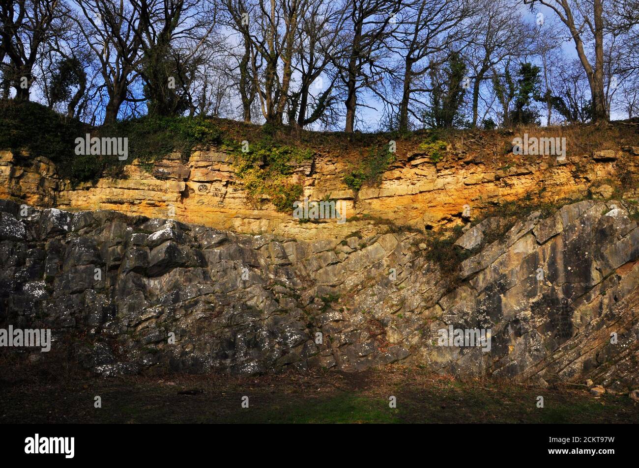 De la Beche Geological unconformity Yellow inferior Oolite over steeply dipping grey Carboniferous Limestone. Vallis Vale near Frome, Somerset, Englan Stock Photo