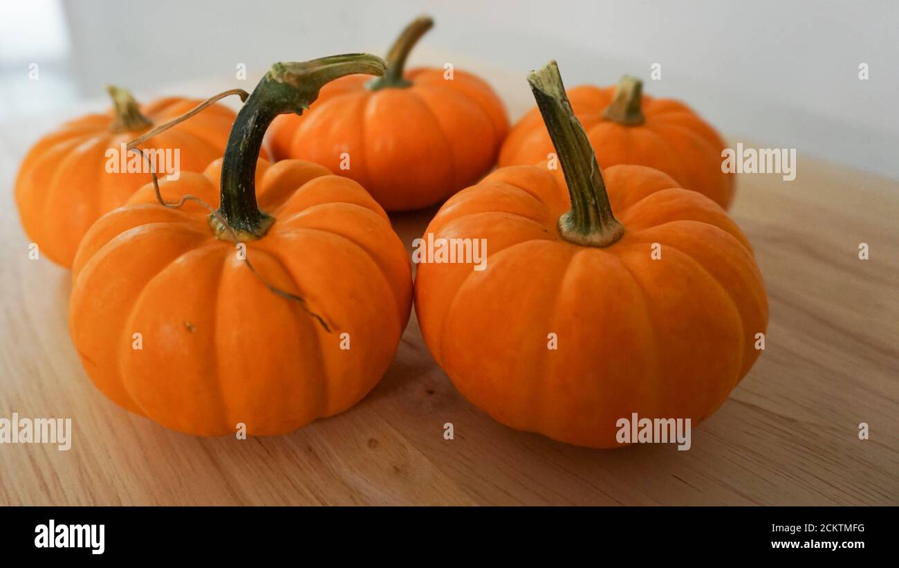 Five miniature pumpkins on a wooden countertop Stock Photo