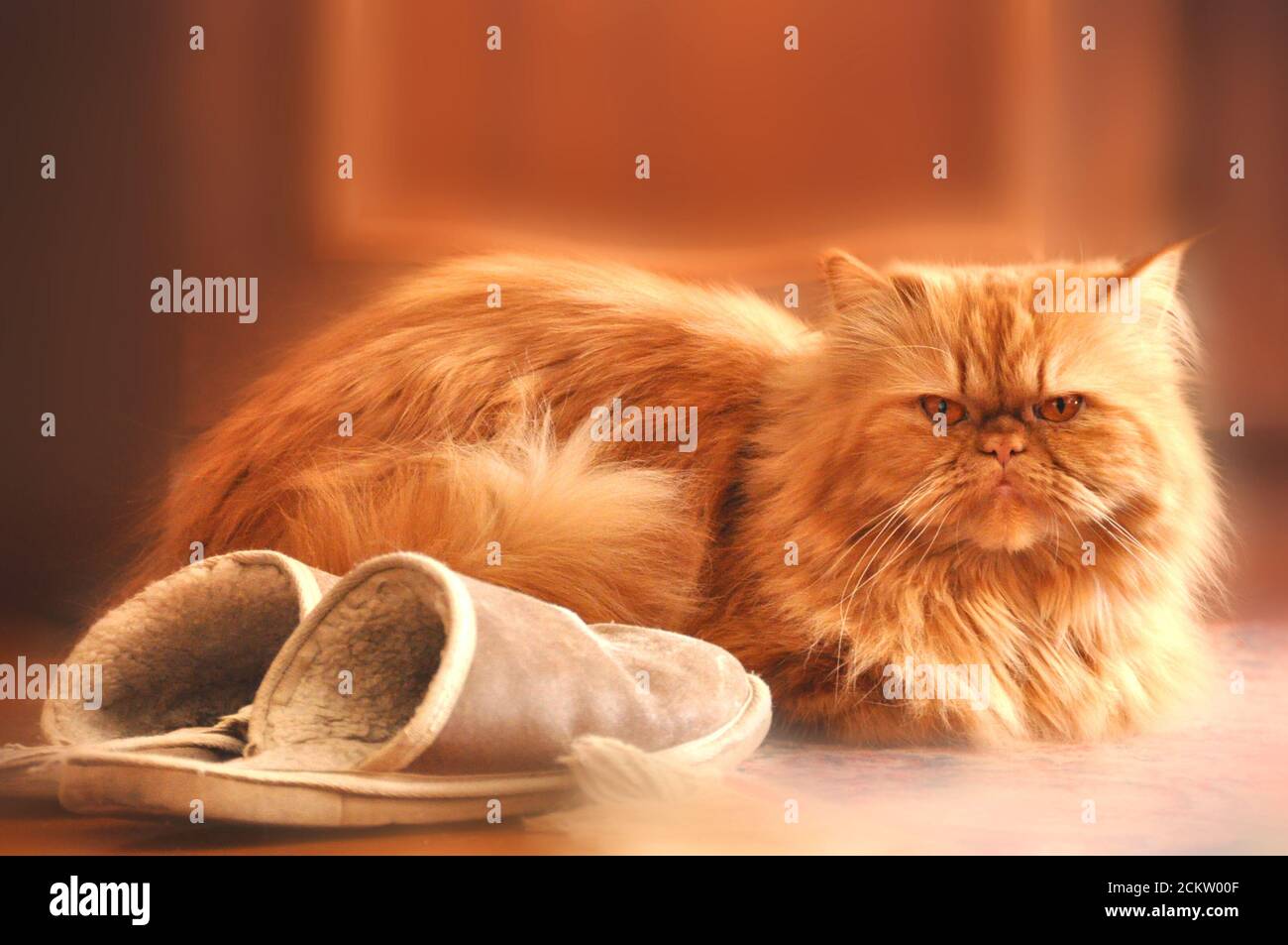 Fuzzy Orange Tabby Cat Slippers | Kitty Scuff Slippers