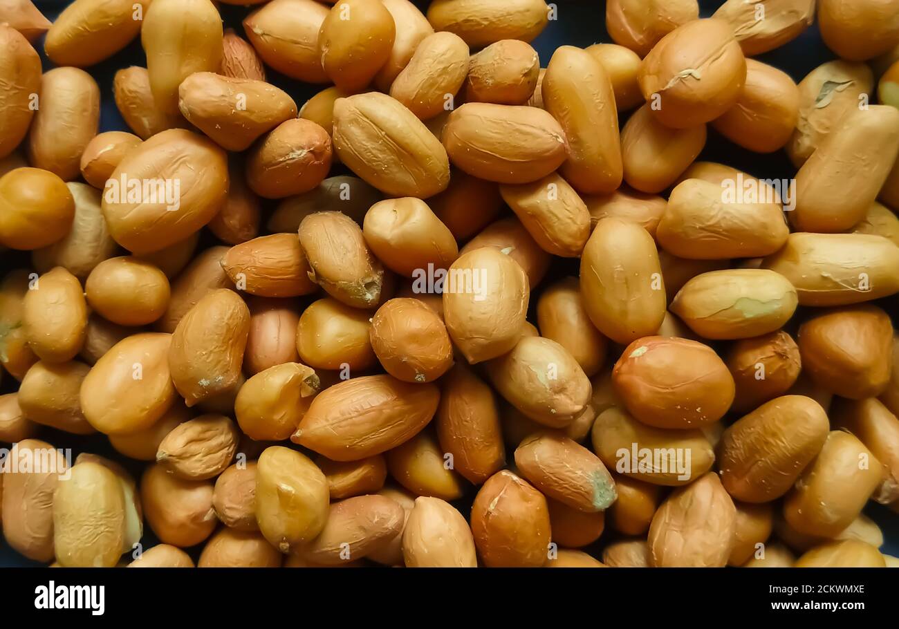 Indian organic peanuts closeup with selective focus Stock Photo Alamy