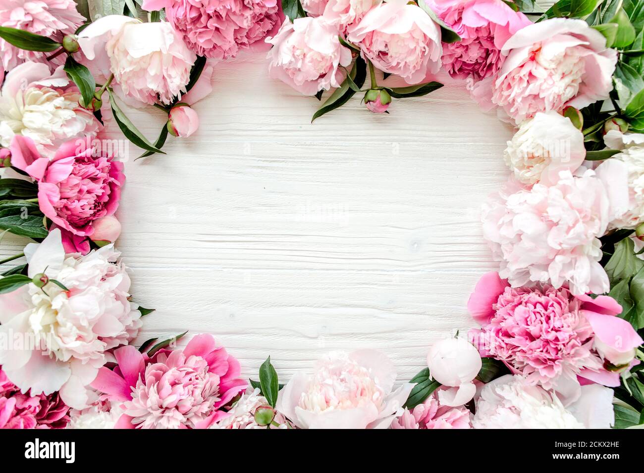 frame made of beautiful pink peonies on white background. Flat lay, top ...