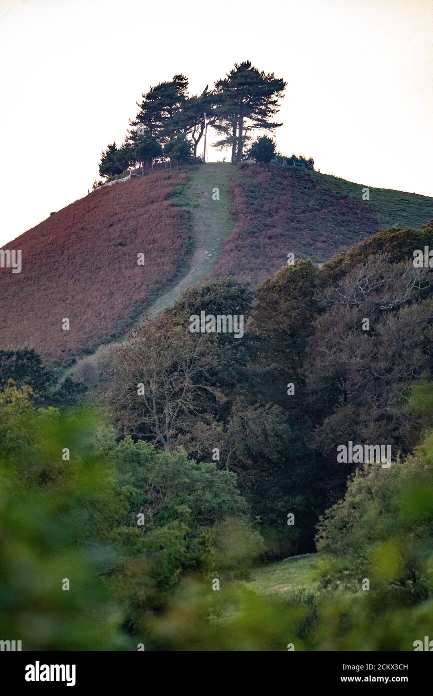 Colmer's Hill, West Dorset landscape, the iconic conical-shaped hill rises 417 feet above the village of Symondsbury near Bridport, UK Stock Photo