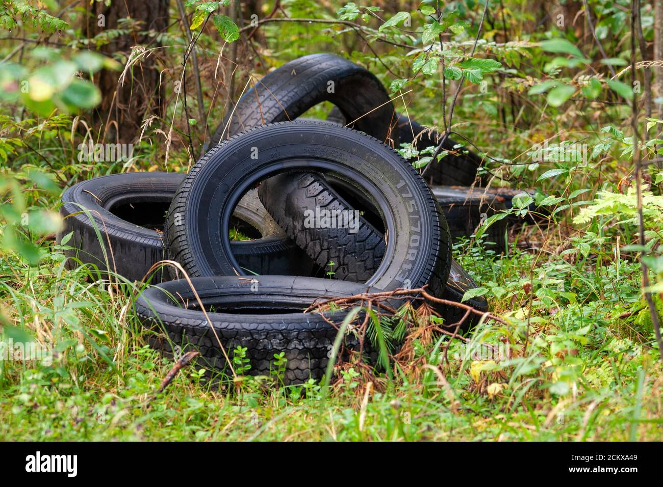 discarded car tires in the forest - illegal landfill, problem of nature pollution with consumer waste Stock Photo