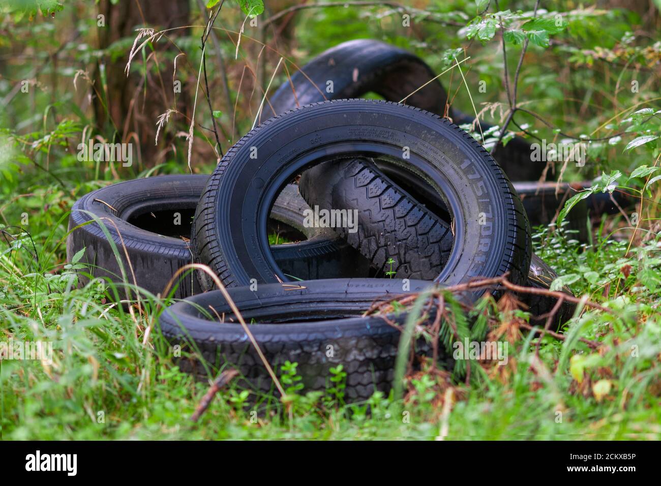 discarded car tires in the forest - illegal landfill, problem of nature pollution with consumer waste Stock Photo
