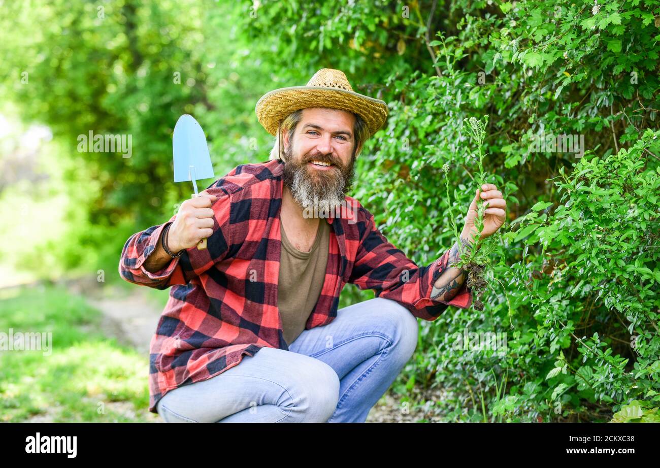 mature man gardener. Trowel digging soil. Garden tools. seeds and soil. Spring in the garden. Farmer giving fertilizer. The gardener digging in garden. Work with garden trowel. Stock Photo
