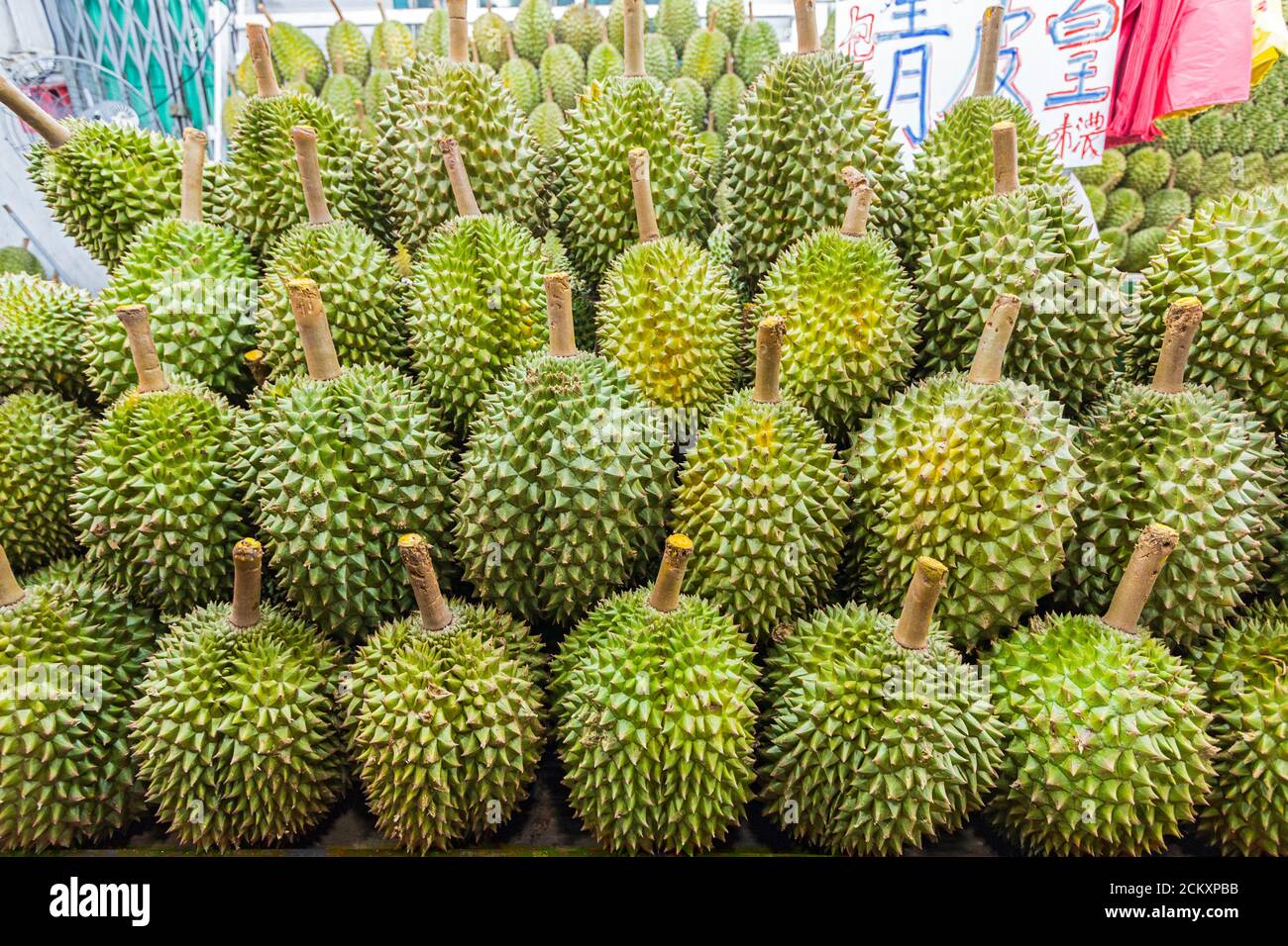 Famously smelly durian fruit, for sale at a night market in Singapore. The sickly sweet smell from this fruit is so intense, it is banned from some public transportation and hotels in tropical Asia. Stock Photo