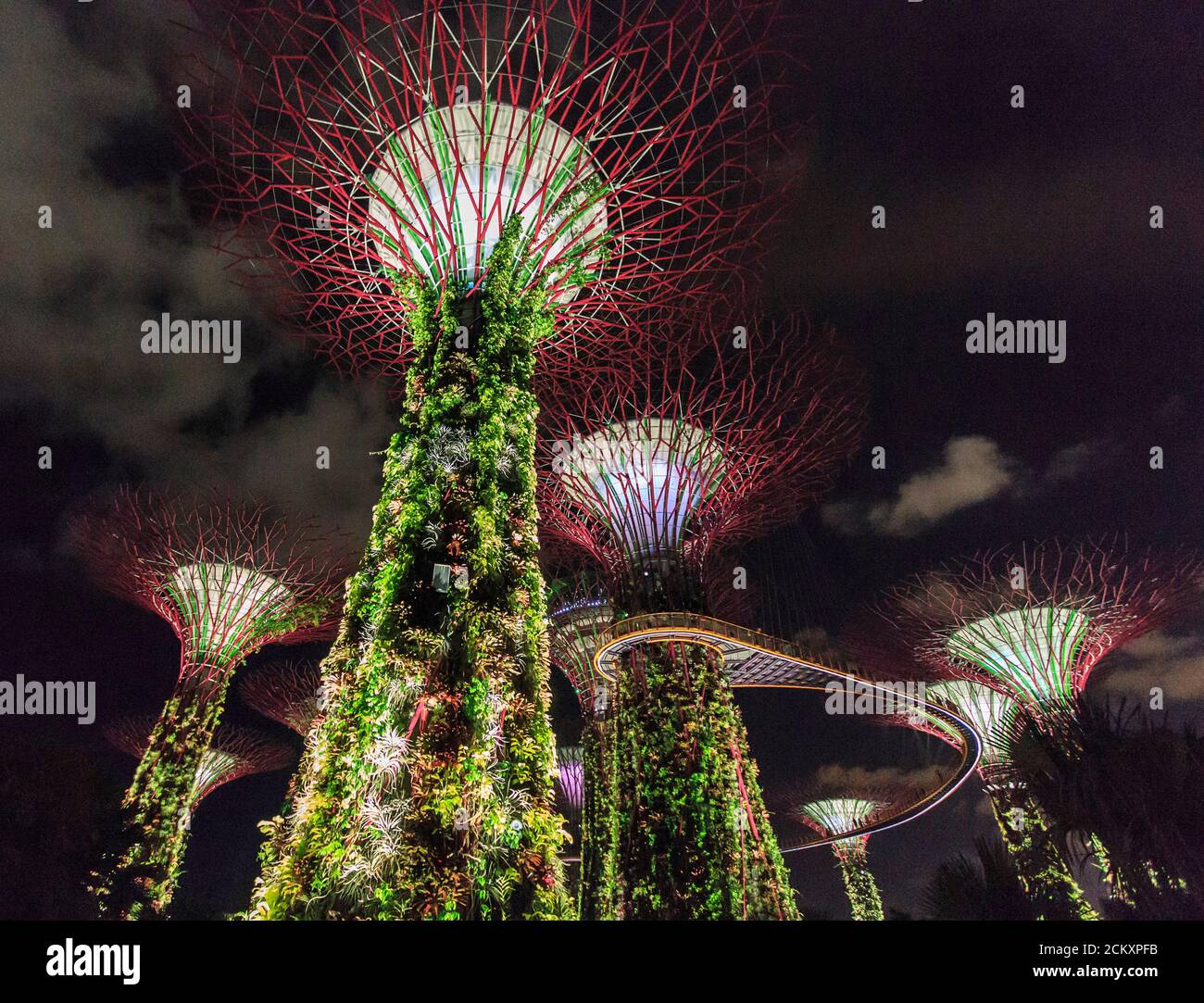 Lit SuperTrees seen at night at Gardens by the Bay, a $1 billion park on reclaimed land in central Singapore. Two huge domes enclose gardens, one with drier Mediterranean plants including varieties of cactus, the other a tropical garden with a 138-foot tall “Cloud Mountain” that is circled by a walkway. The main feature of Gardens by the Bay are the 18 SuperTrees, huge tree-like towers covered in exotic ferns, vines, orchids and bromeliads that are lit at night and become a sound and light show of shifting colors. There is also a 72-foot high elevated walkway, the OCBC Skyway, between two of t Stock Photo