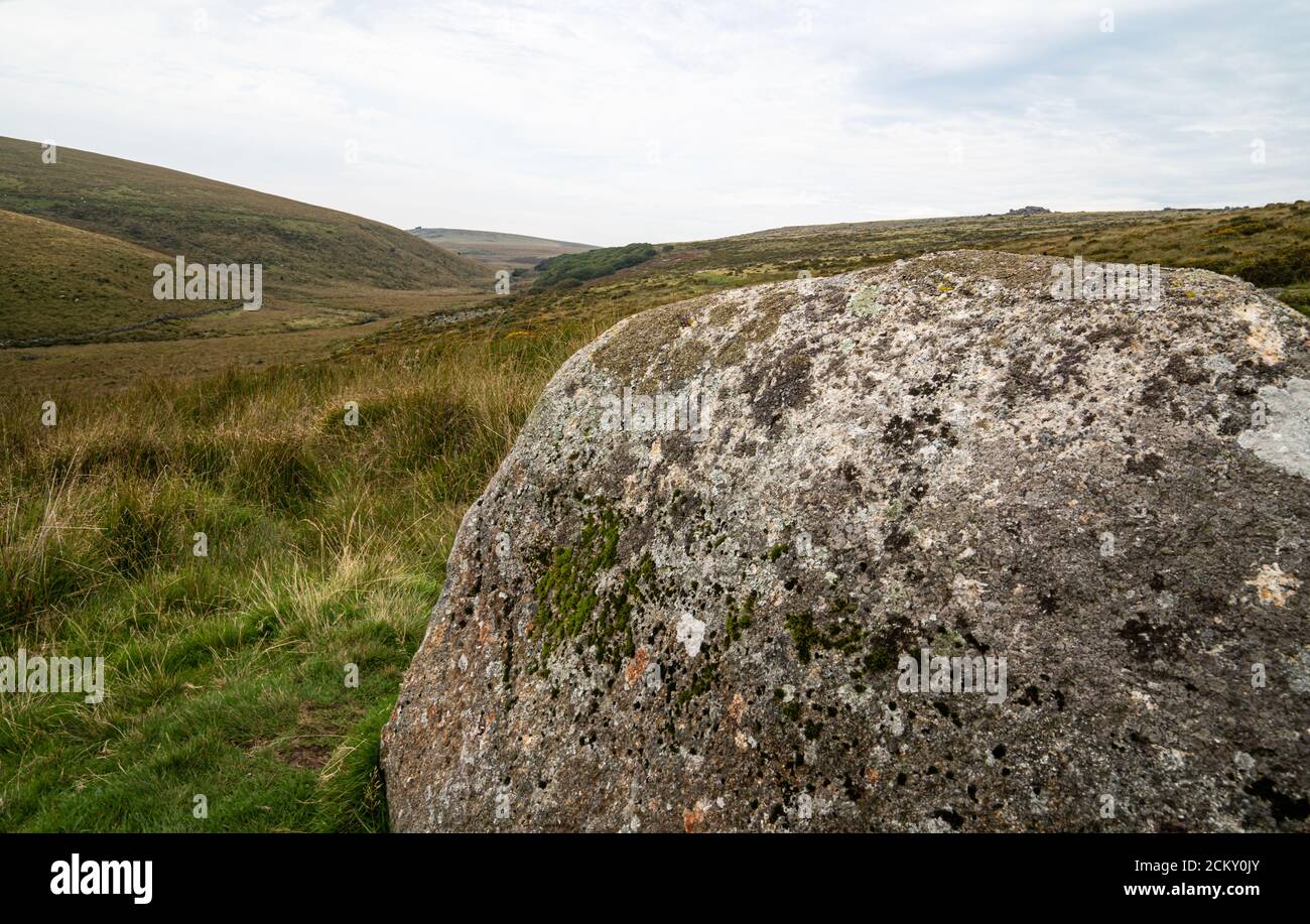 A large granite boulder on Dartmoor, Devon, UK Stock Photo