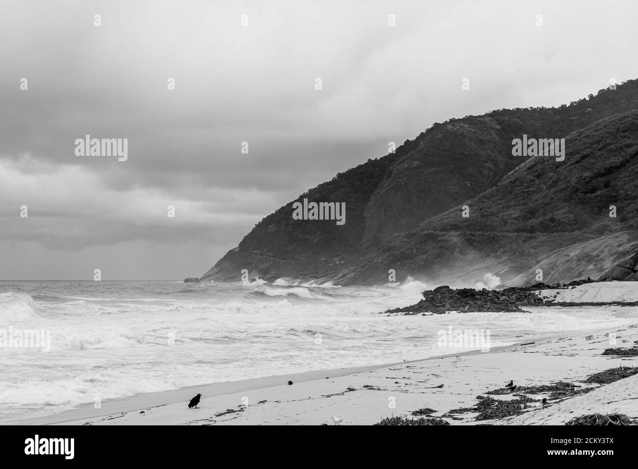 Black and white photo of stormy weather on beach landscape in Brazil Stock Photo