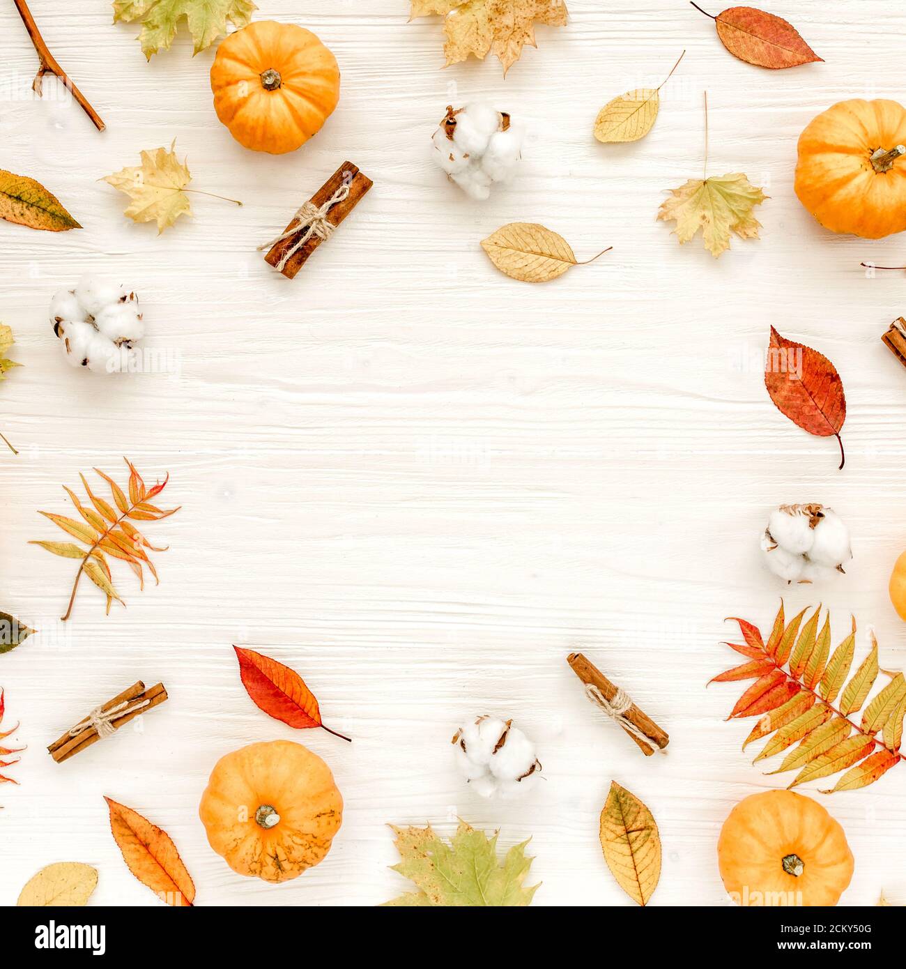 Frame made of dry autumn leaves, Pumpkins and cotton. Fall flat lay ...