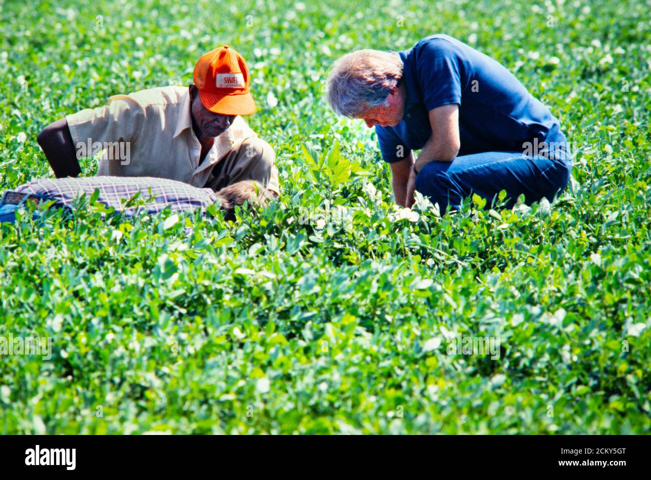 Jimmy carter's peanut farm hires stock photography and images Alamy