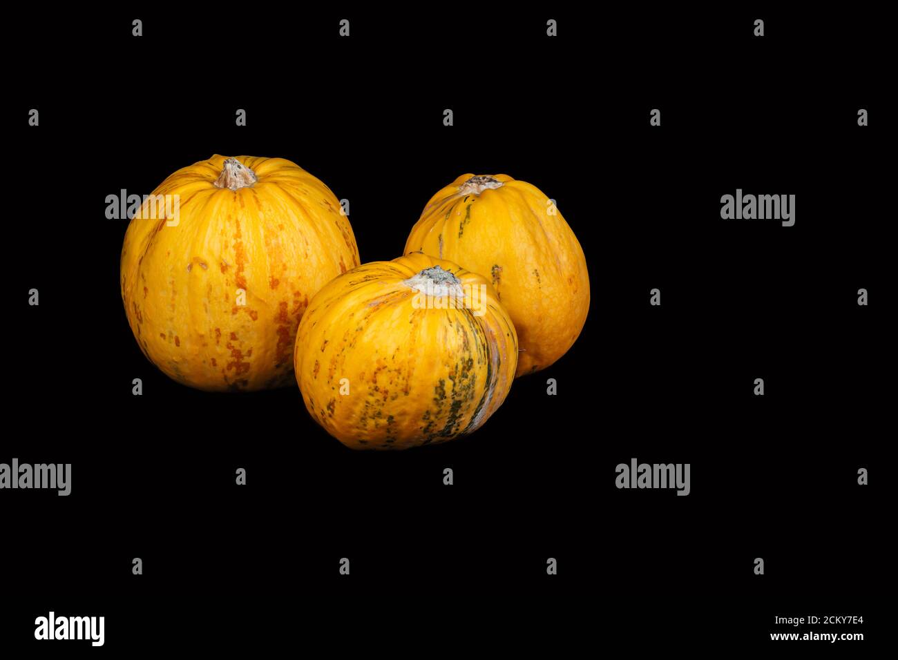 Three yellow pumpkins isolated on black background. Stock Photo