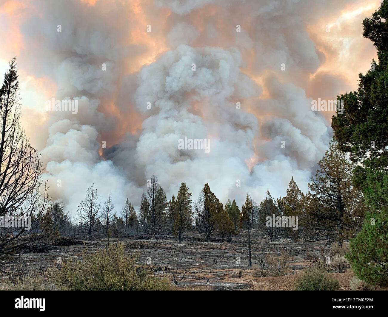 A smoke column rises from the Caldwell Fire, part of the July Complex July Complex Fire caused by lightening inside the Modoc National Forest September 11, 2020 near Canby, California. Stock Photo
