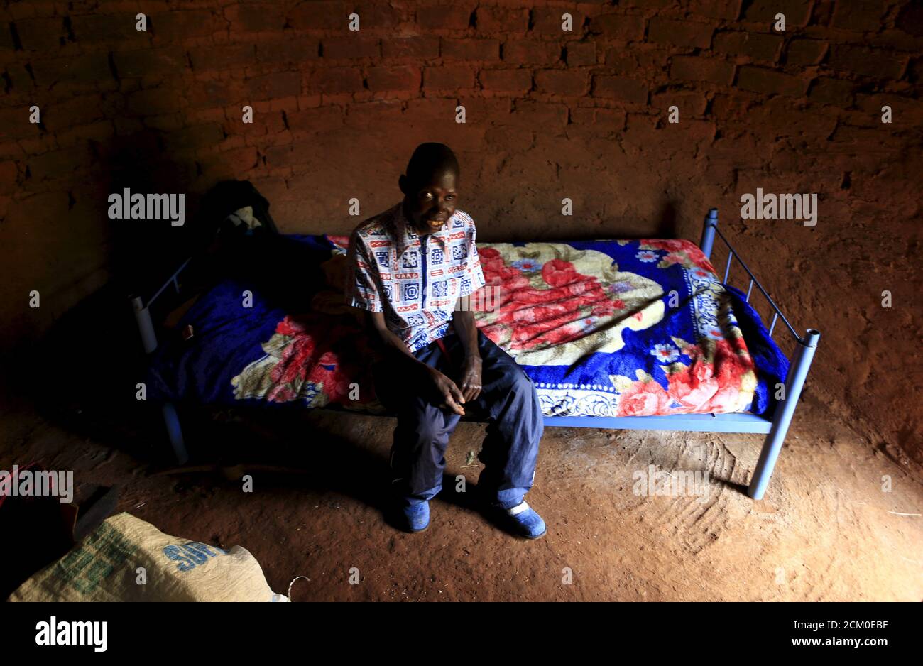 Infestation in home hires stock photography and images Alamy