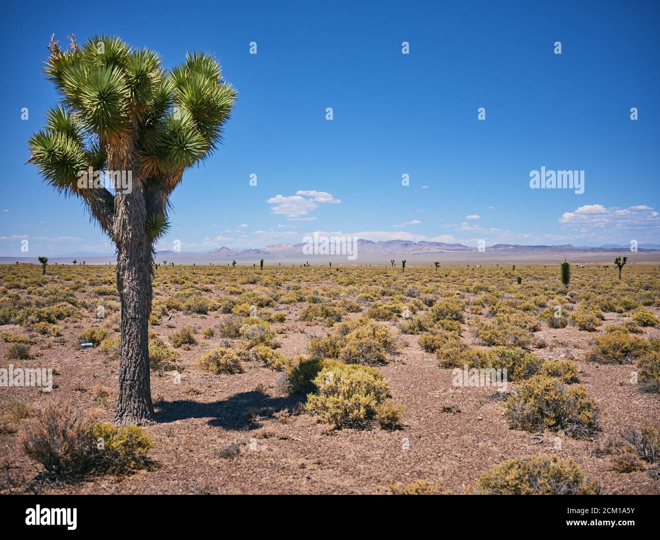 Sparsely populated landscape hi-res stock photography and images - Alamy