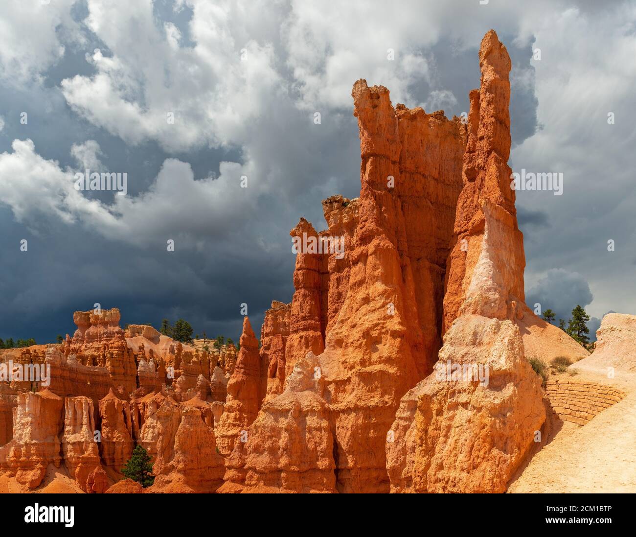 Thunderstorm coming in Bryce Canyon national park with a sunlit Hoodoo rock formation, Utah, United States of America (USA). Stock Photo