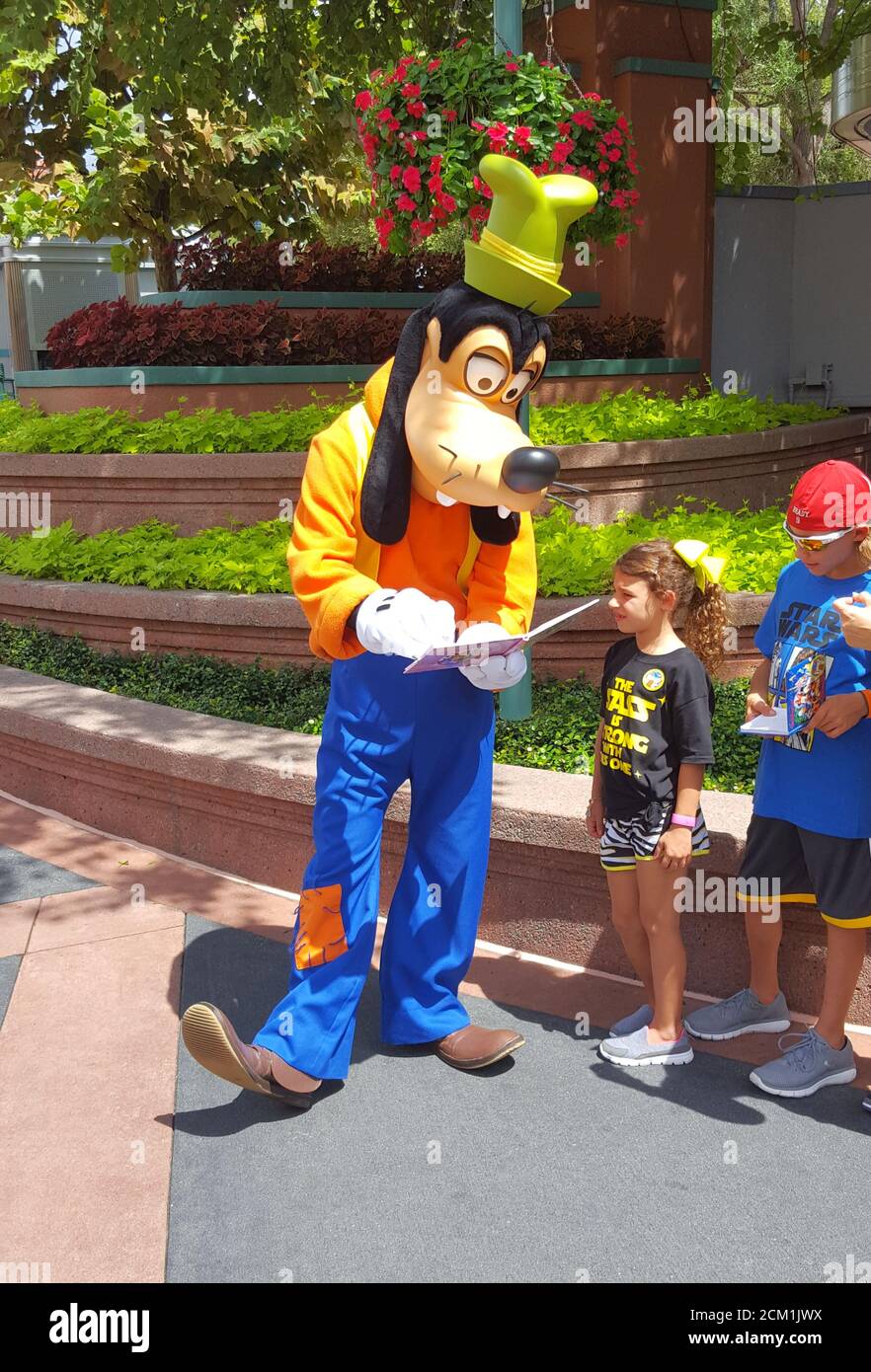 Goofy signing an autograph at Walt Disney World, Orlando, Florida, United States Stock Photo