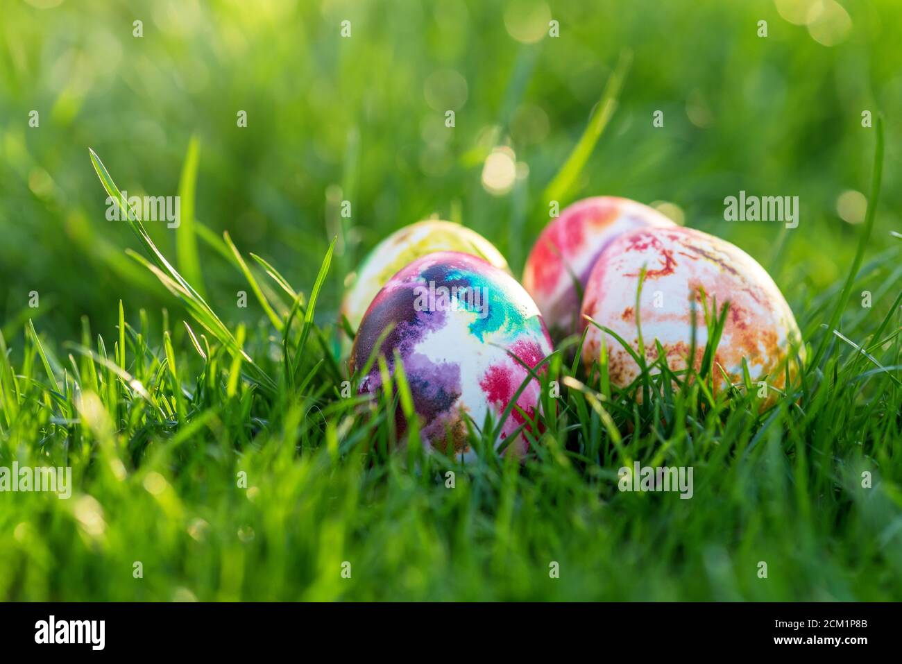 Traditionally painted easter eggs hidden in grass. Stock Photo
