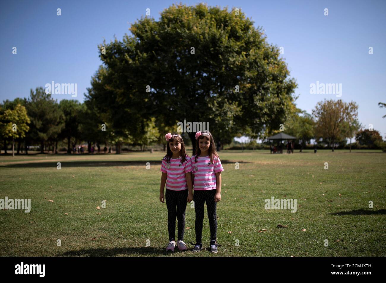Page 2 - L Twins High Resolution Stock Photography and Images - Alamy