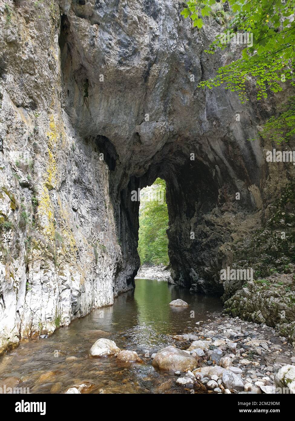 Cheile Rametului gorges wild natural park river area. Waterfall on ...