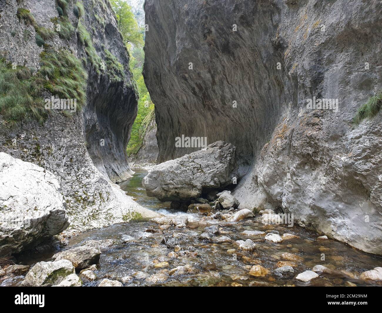 Cheile Rametului gorges wild natural park river area. Waterfall on ...
