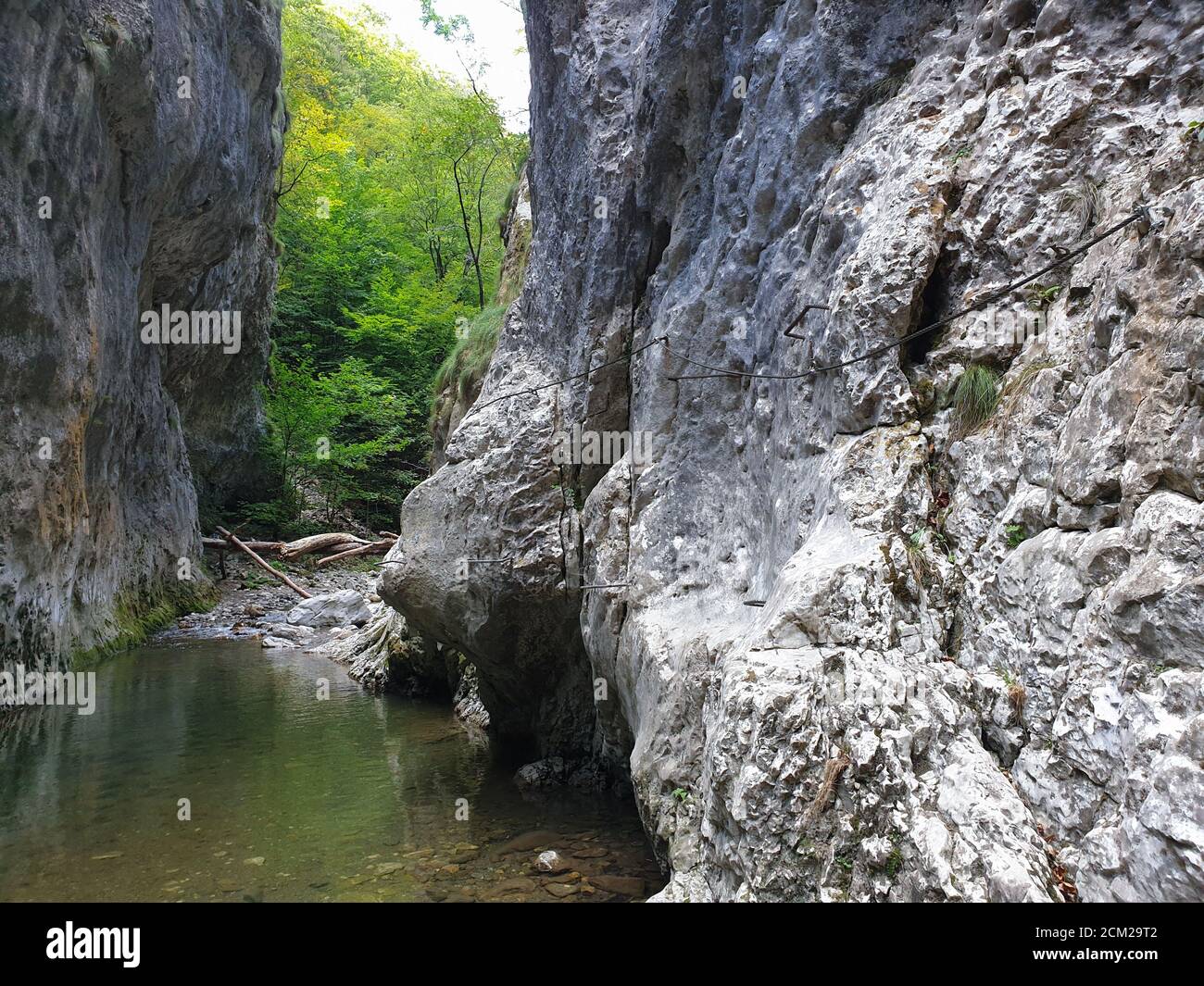 Cheile Rametului gorges wild natural park river area. Waterfall on ...