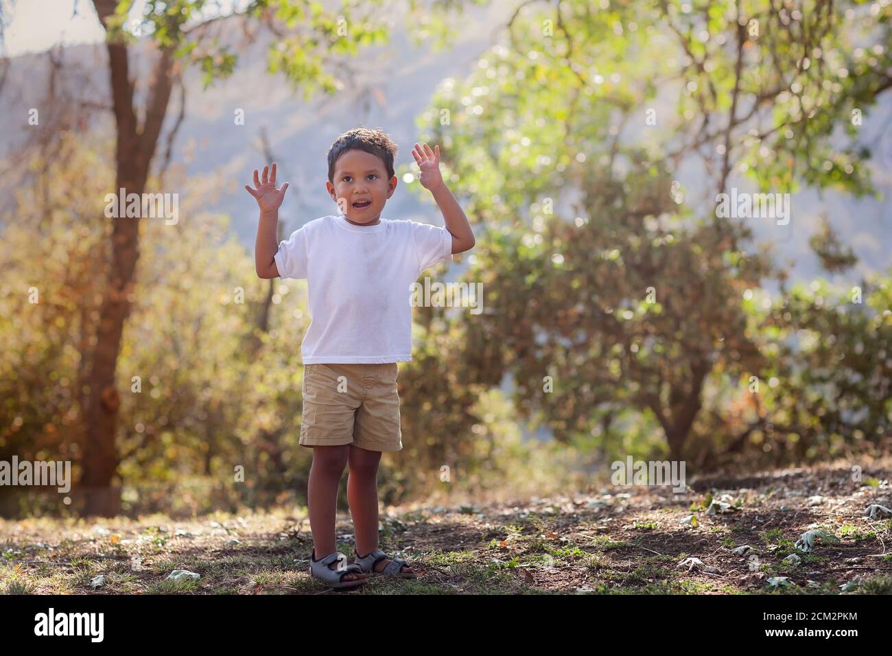 Young boy advancing to preschool age is outdoors learning to catch a ball with  his arms up in the air, in southern California setting. Stock Photo