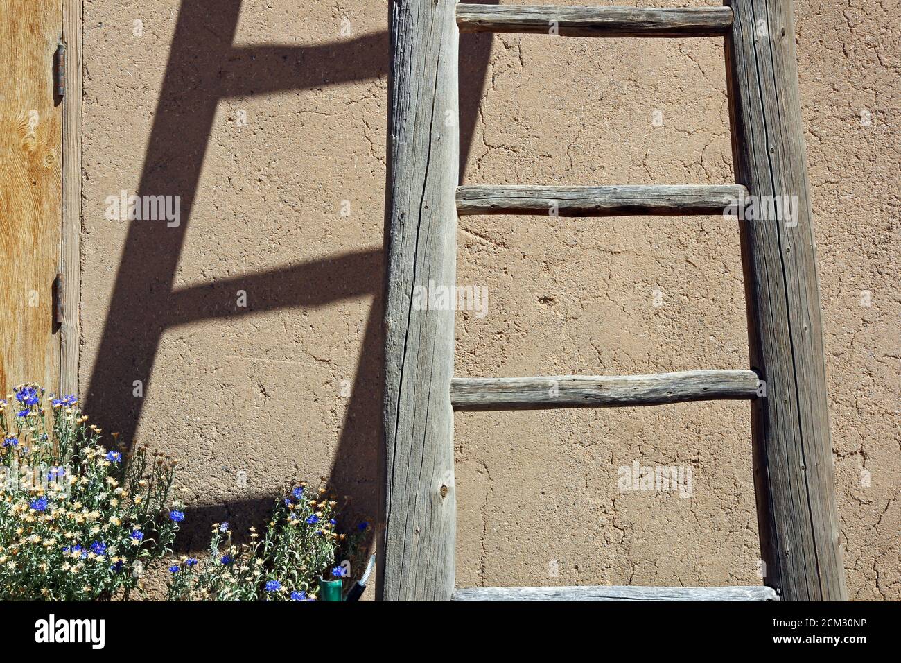 An old, wooden ladder and its shadow. Stock Photo