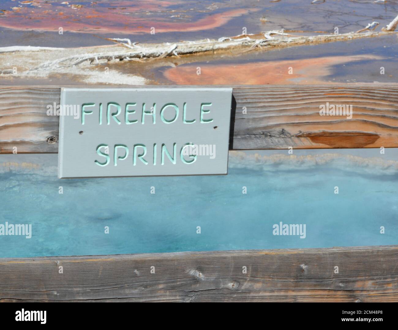 Blue water steam hot springs trees woodland geysers geothermal features ...