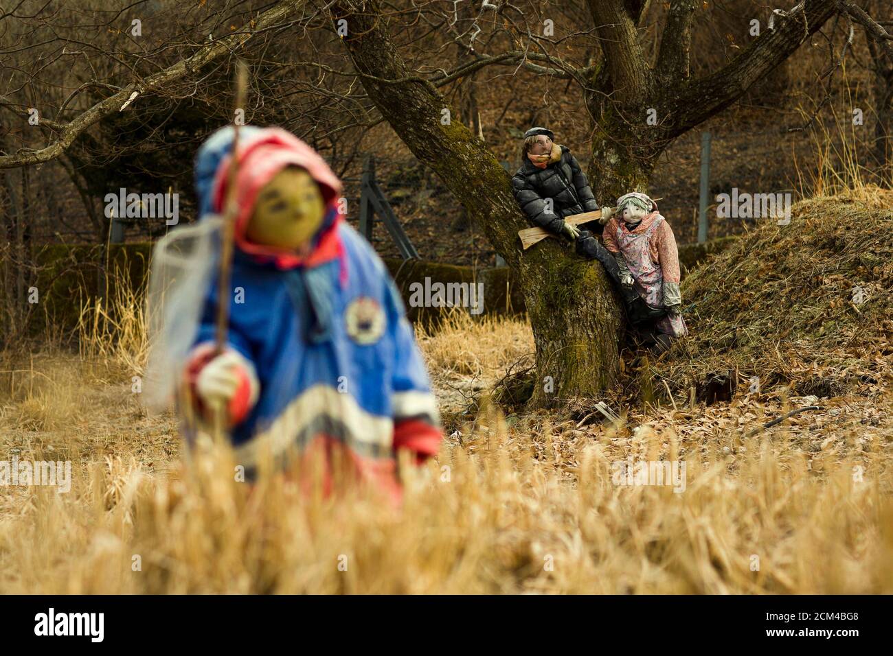Scarecrows stand in a field in the mountain village of Nagoro on Shikoku Island in southern Japan February 24, 2015. Tsukimi Ayano made her first scarecrow 13 years ago to frighten off birds pecking at seeds in her garden. The life-sized straw doll resembled her father, so she made more. Today, the tiny village of Nagoro in southern Japan is teeming with Ayano's hand-sewn creations, frozen in time for a tableau that captures the motions of everyday life. Nagoro, like many villages in Japan's countryside, has been hit hard by inhabitants flocking to cities for work and leaving mostly pensioners Stock Photo