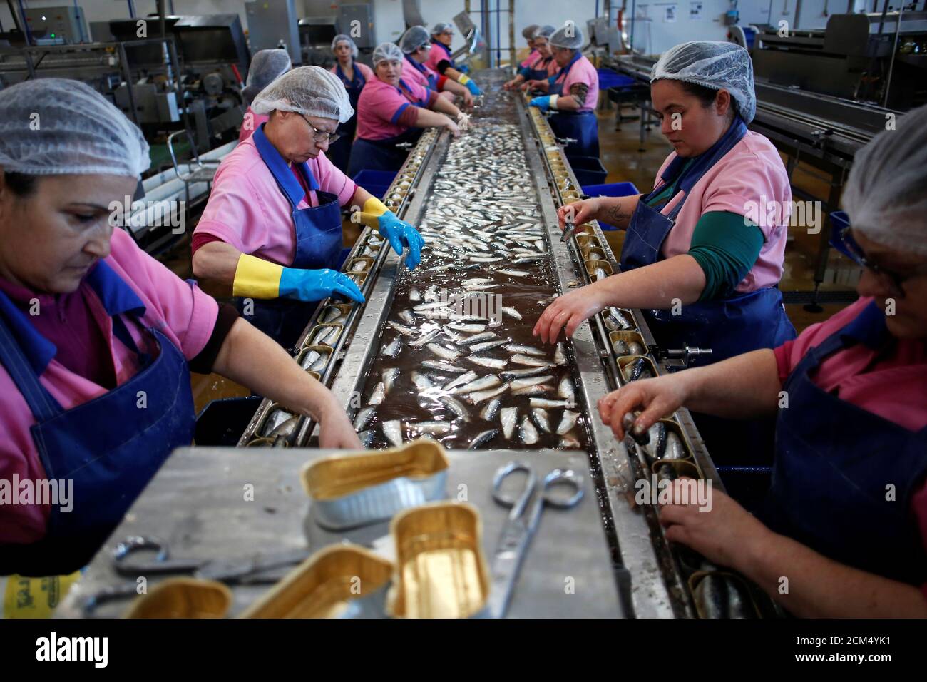 Anchovies in cans hires stock photography and images Alamy