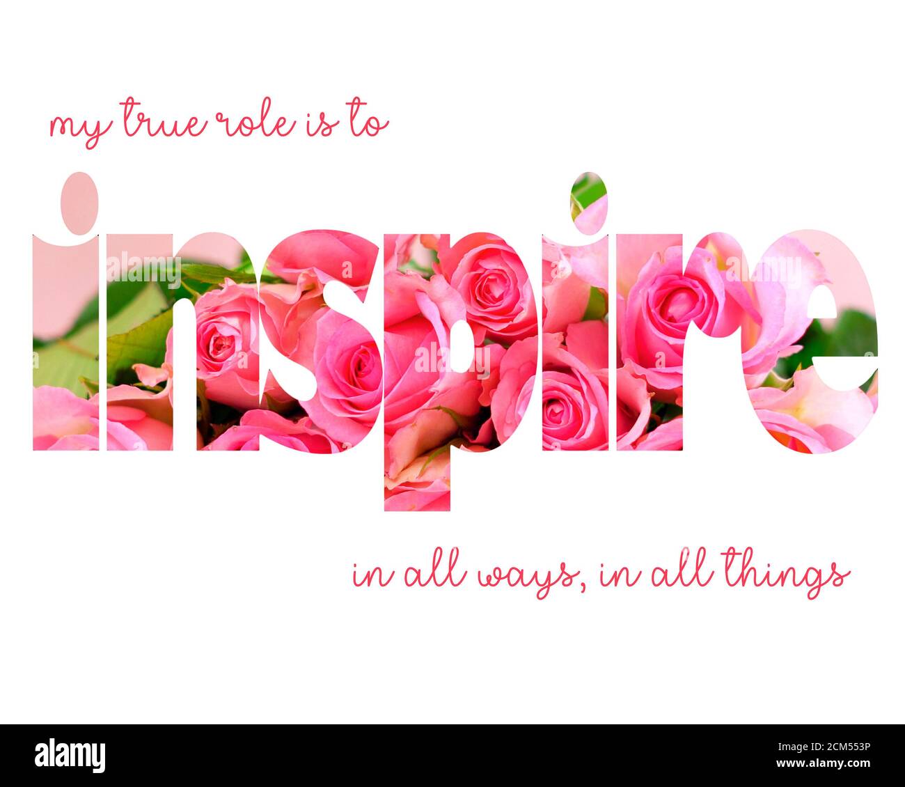 Inspiring True Inspiration Rose Images