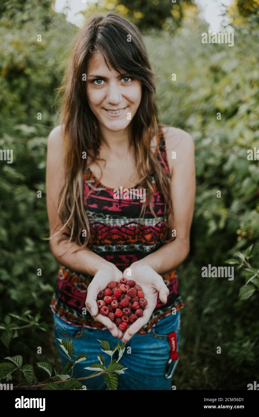 Picking organic raspberries in a fresh plantation Stock Photo Alamy