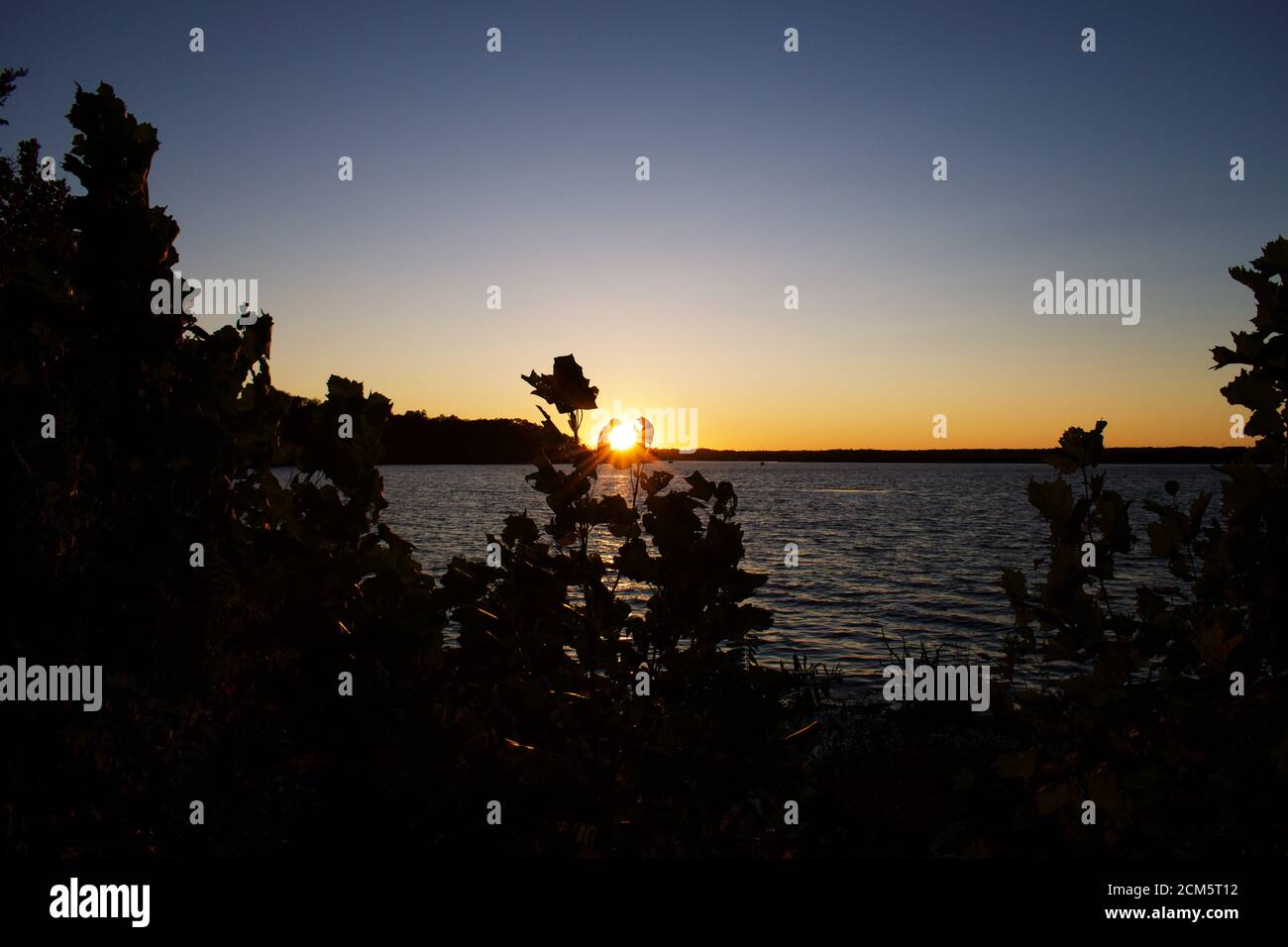 Sun setting over Belmont Bay with silhouette of trees and cliff Stock