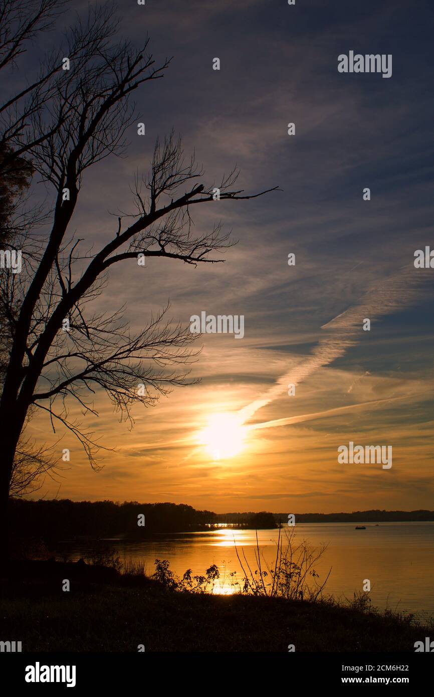 Sunset over Belmont Bay with silhouette barren tree branch and river bank. Stock Photo