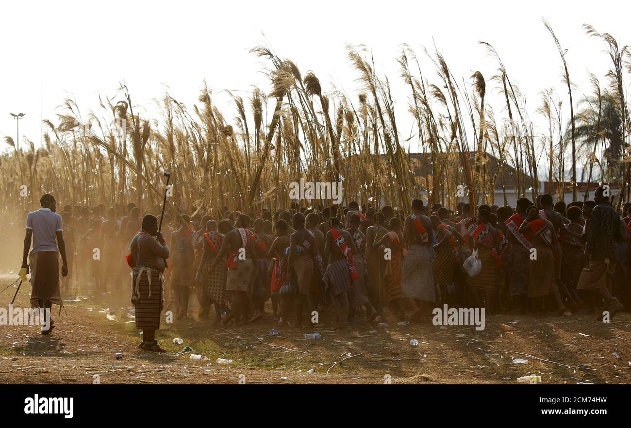 Reed Dance Ceremony High Resolution Stock Photography and Images - Alamy