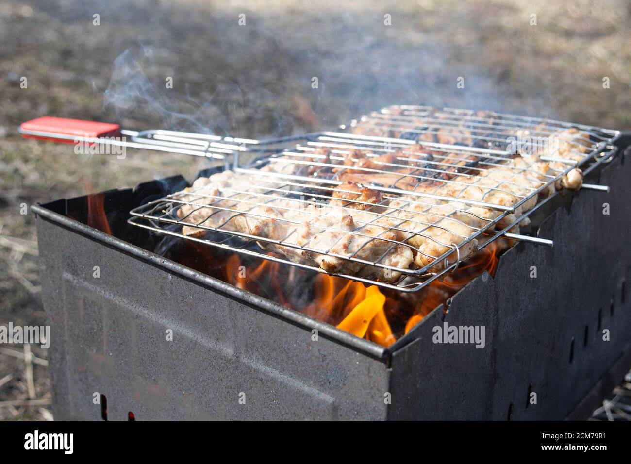 Chicken legs and wings on the grill, Fire in the grill for a barbecue party, outdoors Stock Photo