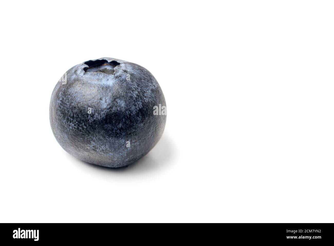Blueberry isolated. Blueberry on white background, top view, copyspace. concept for healthy eating and nutrition Stock Photo