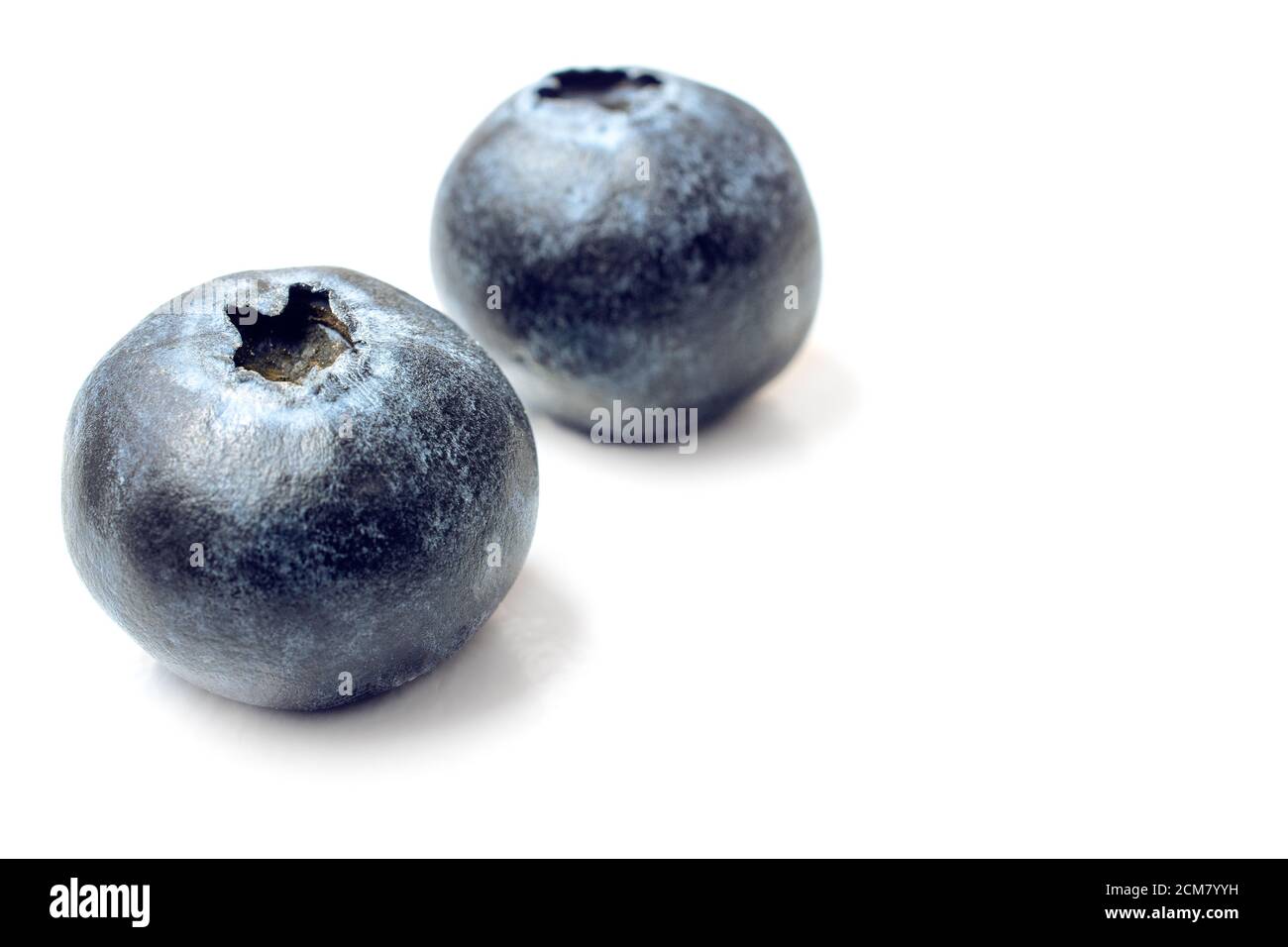 two fresh ripe Blueberries isolated on white background. concept for healthy eating and nutrition Stock Photo